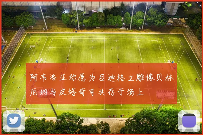 阿韦洛亚称愿为吕迪格立雕像贝林厄姆与皮塔奇可共存于场上