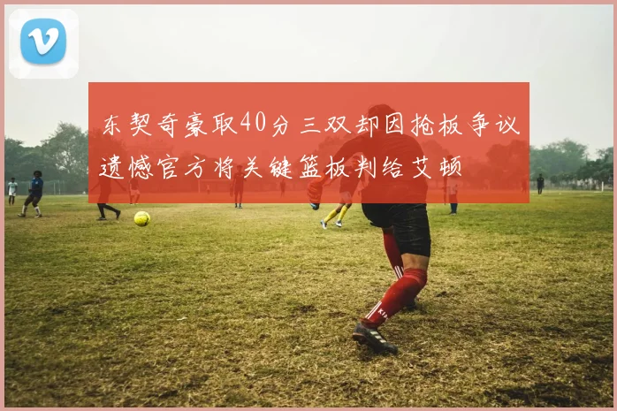 东契奇豪取40分三双却因抢板争议遗憾官方将关键篮板判给艾顿